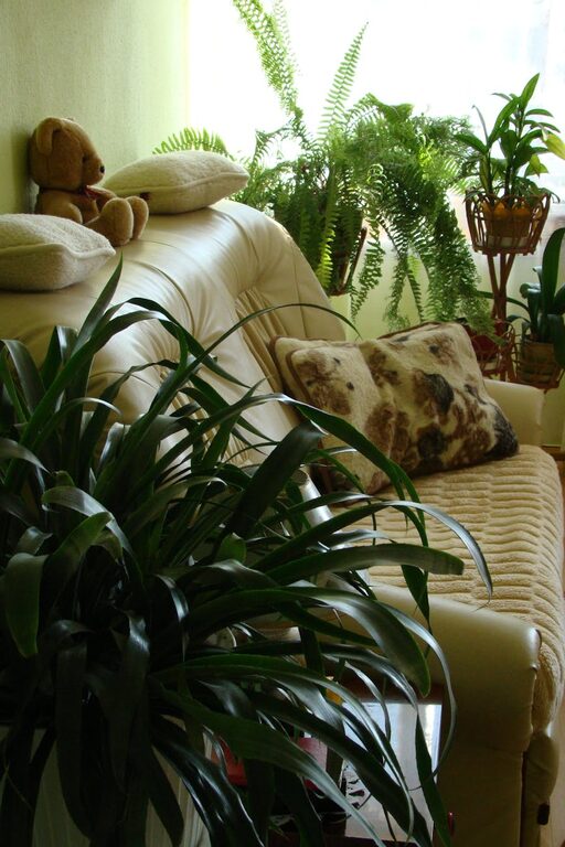 Tips for Creating a Relaxing Home Environment on a Budget